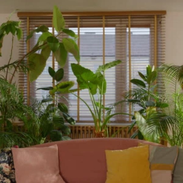 How to Choose the Right Painter for Your Home